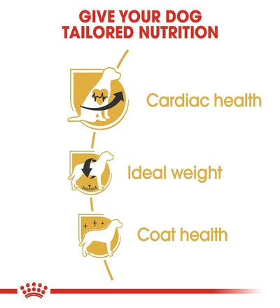 Royal Canin Cavalier King Charles Spaniel Adult Dry Dog Food 1.5KG