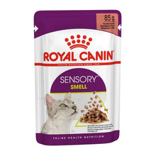 Royal Canin Feline Health Nutrition Sensory Smell Chunks In Gravy Cat Wet Food 85G