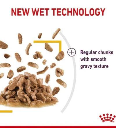 Royal Canin Feline Health Nutrition Sensory Taste Chunks In Gravy Cat Wet Food