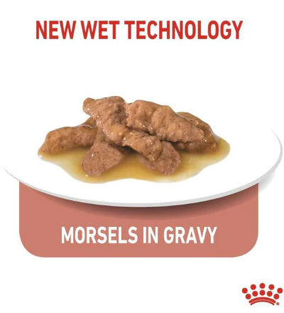 Royal Canin Indoor Sterilised In Gravy Cat Wet Food 85G
