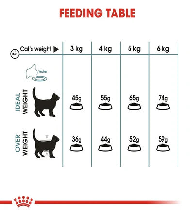 Royal Canin Hairball Care Adult Dry Cat Food