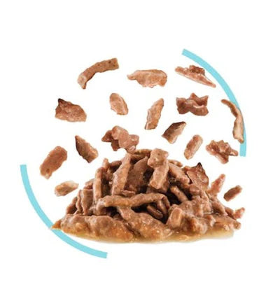 Royal Canin Feline Health Nutrition Sensory Feel Gravy Cat Wet Food 85G