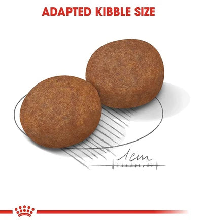 Royal Canin Medium Adult 7+ Dry Dog Food