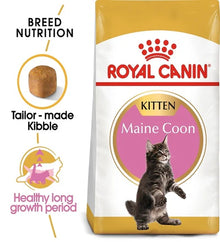 Royal Canin Maine Coon Kitten Dry Food 2KG