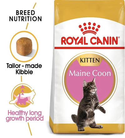 Royal Canin Maine Coon Kitten Dry Food 2KG