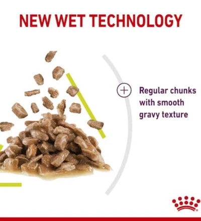 Royal Canin Feline Health Nutrition Sensory Smell Chunks In Gravy Cat Wet Food 85G