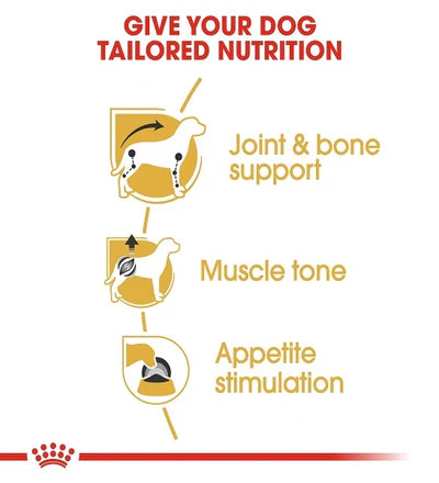 Royal Canin Dachshund Adult Wet Dog Food 85G