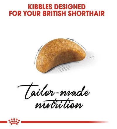 Royal Canin British Shorthair Kitten Dry Food 2KG