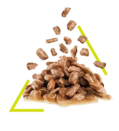 Royal Canin Feline Health Nutrition Sensory Smell Chunks In Gravy Cat Wet Food 85G