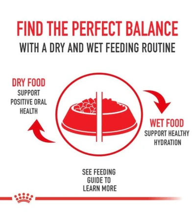 Royal Canin Light Weight Care Adult Dry Cat Food