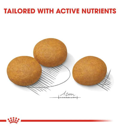 Royal Canin Maxi Adult Dermacomfort Dry Dog Food