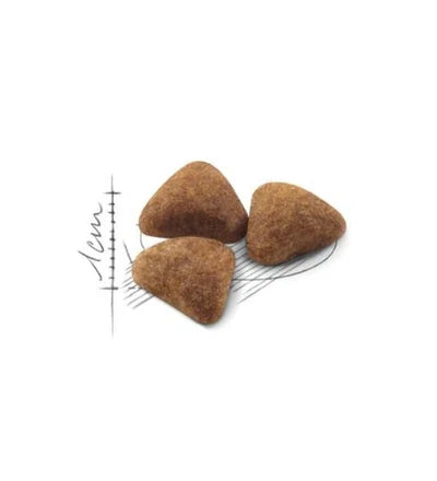 Royal Canin Home Life Indoor 27 Adult Dry Cat Food
