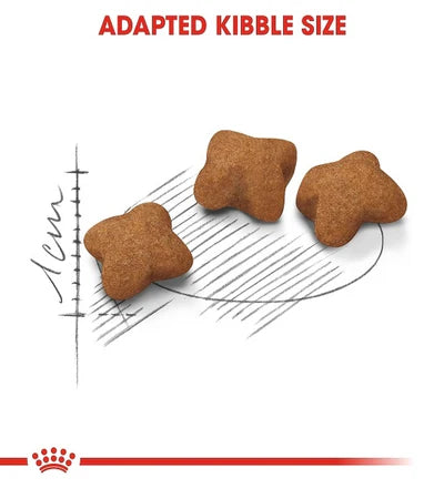 Royal Canin Kitten Sterilised Dry Food 2KG