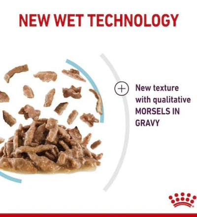 Royal Canin Feline Health Nutrition Sensory Feel Gravy Cat Wet Food 85G