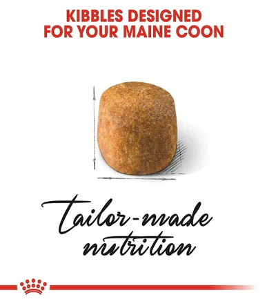 Royal Canin Maine Coon Adult Dry Cat Food 2KG