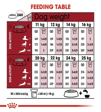 Royal Canin Medium Adult 7+ Dry Dog Food