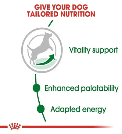 Royal Canin Mini Adult 8+ Dry Dog Food