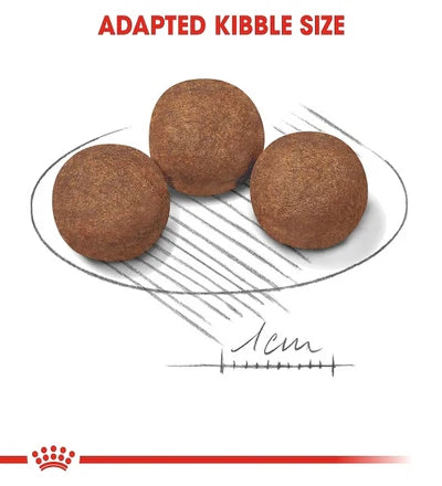 Royal Canin Medium Puppy Dry Food