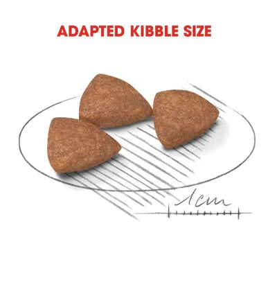 Royal Canin Mini Indoor Life Adult Dry Dog Food 1.5KG