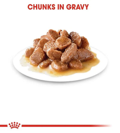 Royal Canin Ageing 12+ Adult Chunks In Gravy Wet Cat Food 85G