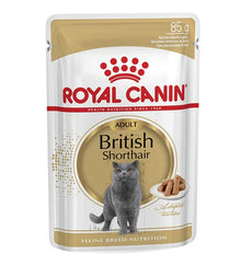 Royal Canin British Shorthair Adult Wet Cat Food