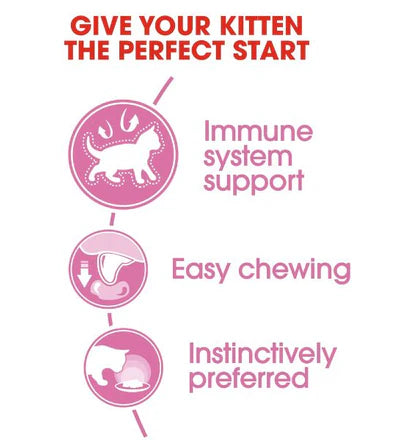 Royal Canin Kitten Instinctive in Jelly Wet Food