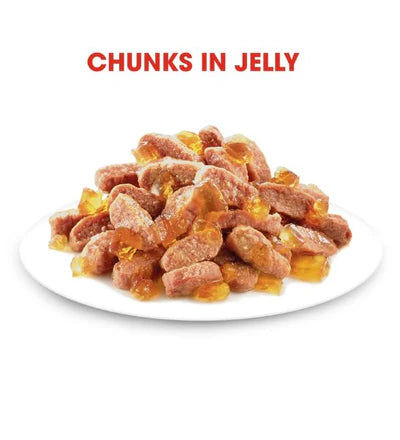 Royal Canin Kitten Instinctive in Jelly Wet Food