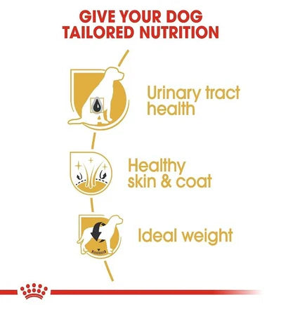 Royal Canin Bichon Frise Adult Dry Dog Food 1.5KG