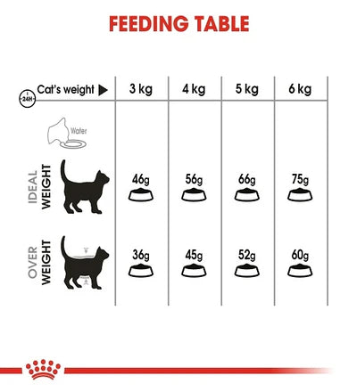 Royal Canin Dental Care Adult Dry Cat Food 1.5KG