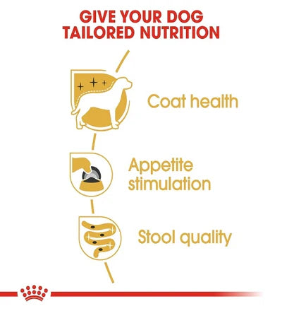 Royal Canin Yorkshire Terrier Adult Wet Dog Food 85G