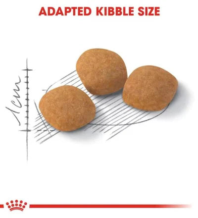 Royal Canin Feline Health Nutrition Protein Exigent Cat Dry Food 2KG