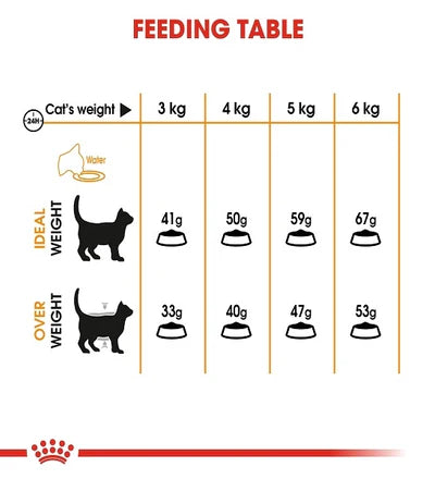 Royal Canin Hair & Skin Adult Dry Cat Food