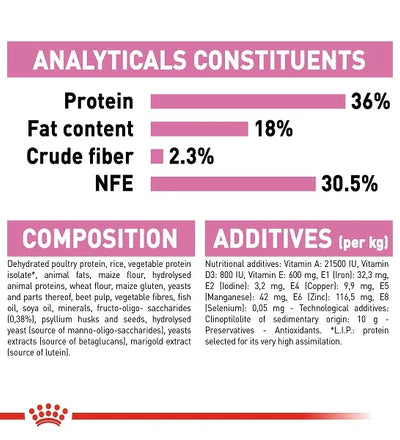 Royal Canin Kitten Dry Food