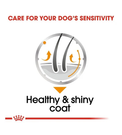 Royal Canin Coat Care In Loaf Dog Wet Food 85G