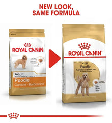 Royal Canin Poodle Adult Dry Dog Food