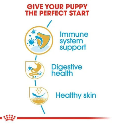 Royal Canin Puppy French Bulldog Dry Dog Food 3KG