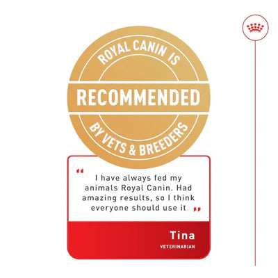 Royal Canin Shih Tzu Adult In Loaf Wet Dog Food 85G